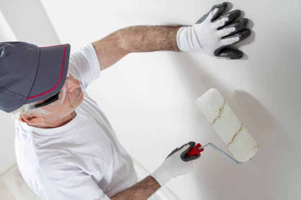 Mold Documentation for Insurance Claims in Elgin, IL