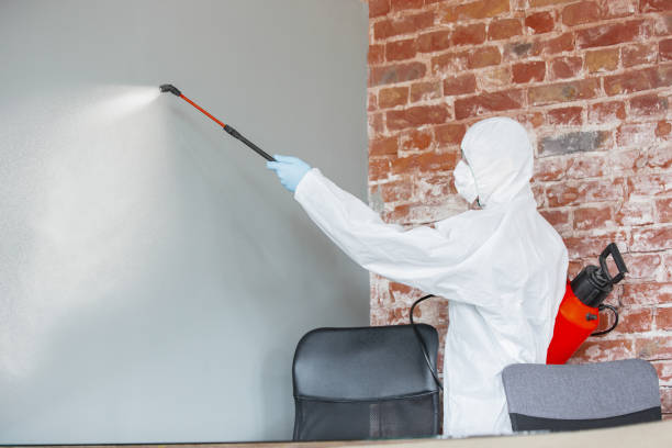 Best Mold Remediation for Healthcare Facilities  in Elgin, IL