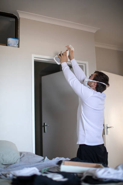 Best Mold Damage Restoration  in Elgin, IL