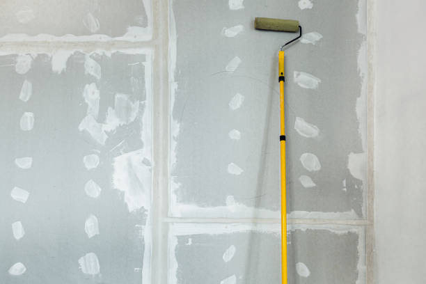 Best Black Mold Removal  in Elgin, IL