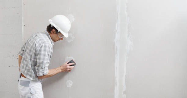 Best Attic Mold Removal  in Elgin, IL