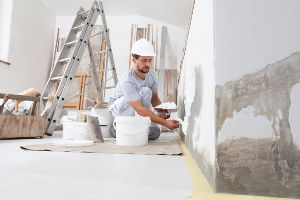 Best Industrial Mold Remediation  in Elgin, IL