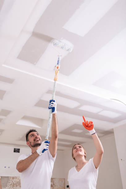 Best Indoor Air Quality Assessment  in Elgin, IL
