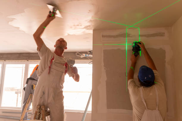 Best Emergency Mold Remediation  in Elgin, IL