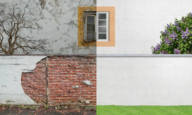 Best Mold Prevention Services  in Elgin, IL
