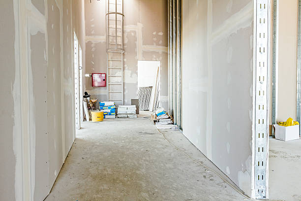 Best HVAC Mold Inspection and Cleaning  in Elgin, IL