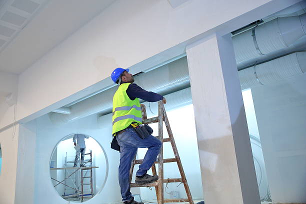 Best Residential Mold Inspection & Testing  in Elgin, IL